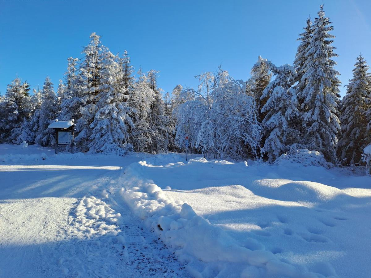 Wohnen Wie Bei Freunden Braunlage Buitenkant foto